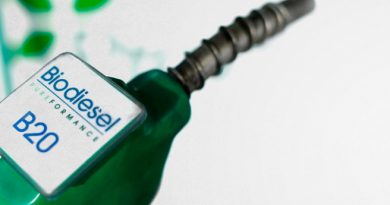 Los biocombustibles lideran el crecimiento de la producción de energía en el tercer trimestre