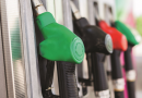 Crece el interés por el biodiesel y las empresas ya buscan autoabastecerse