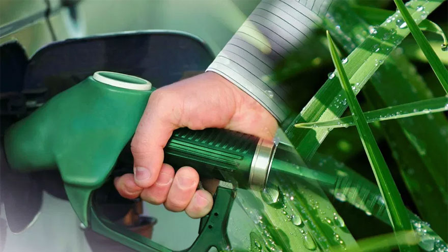Para "estimular las economías regionales" piden modificar la Ley de Biocombustibles