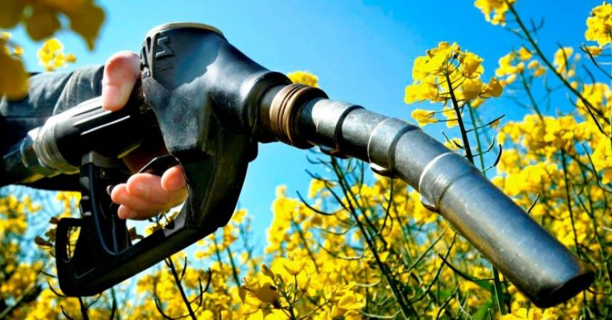 Un diputado del Frente de Todos presentó un proyecto que propone modificar la Ley de Biocombustibles aumentando el corte mínimo al 20%
