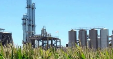 Energía abre convocatoria de proyectos para aumentar la producción de bioetanol