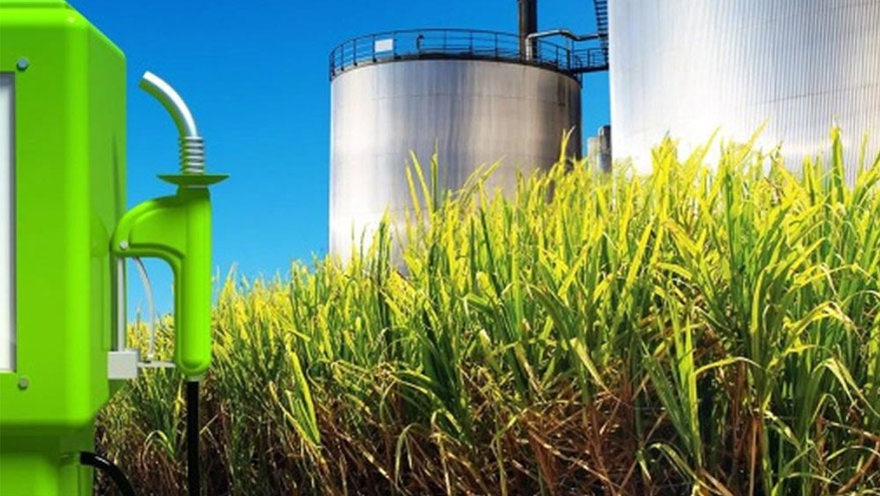 Un informe del sector petrolero señala como la principal proveedora de bioetanol a la empresa ACA Bio Cooperativa.